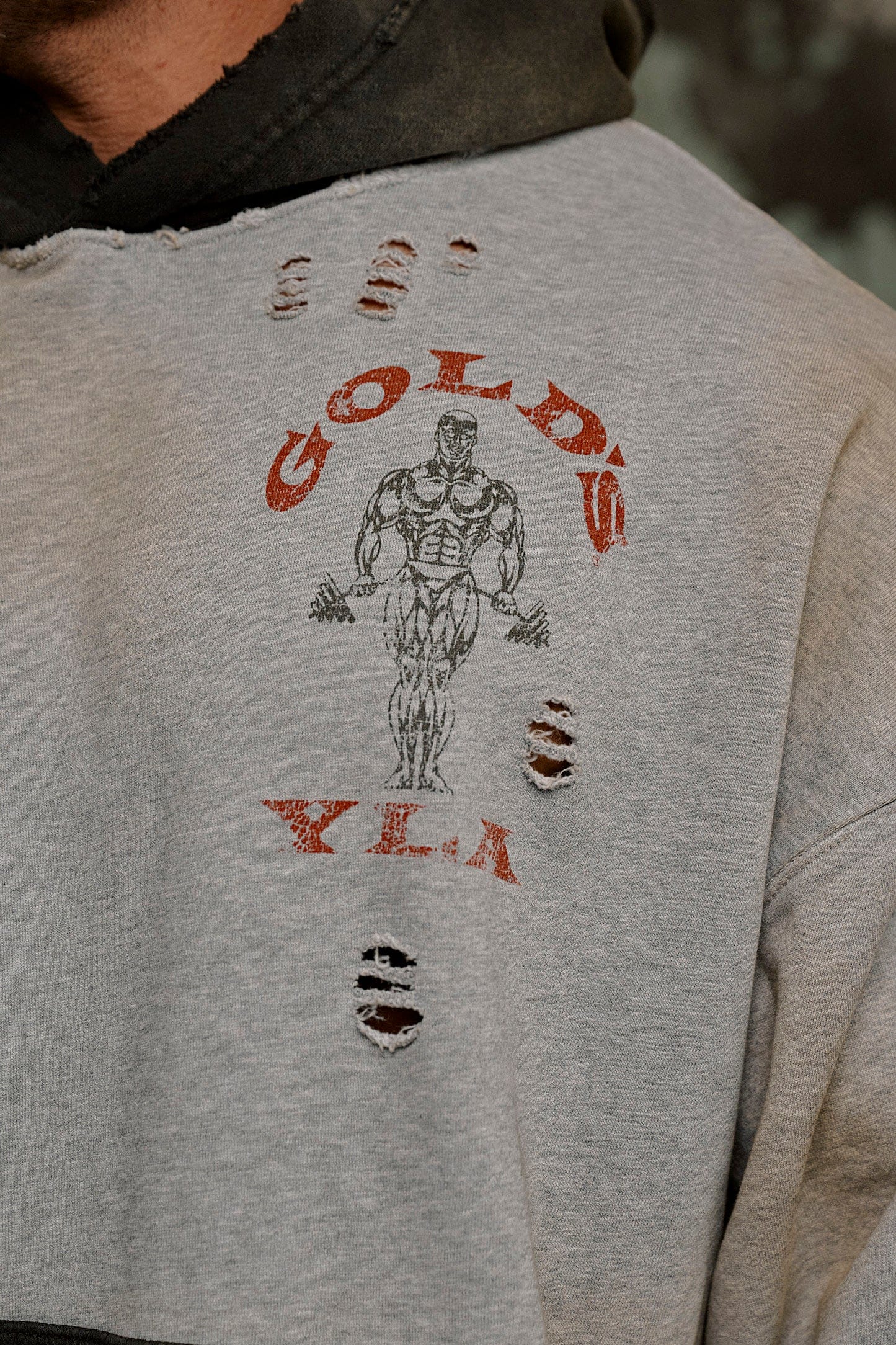 5168 - Gold's Iron Legacy Distress Hoodies - Image 3